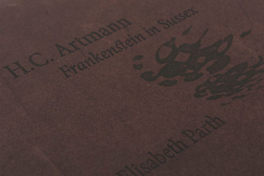 Cover von Frankenstein in Sussex