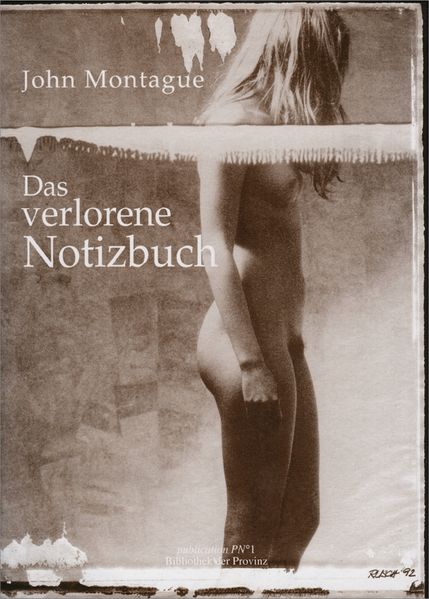 Cover von Das verlorene Notizbuch