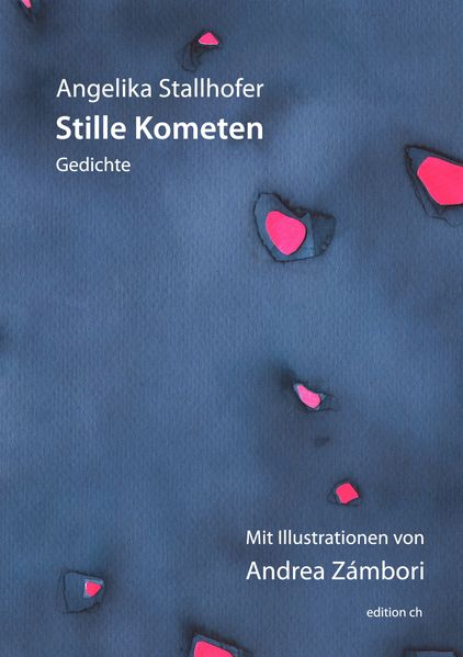 Cover von Stille Kometen