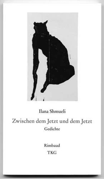Cover von Zwischen dem Jetzt und dem Jetzt