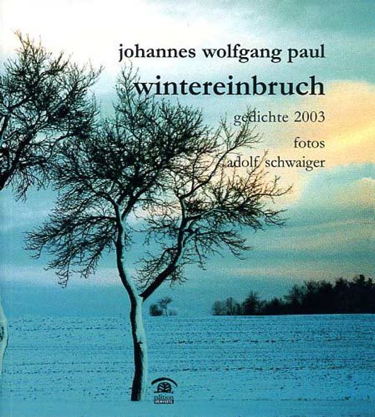 Cover von wintereinbruch