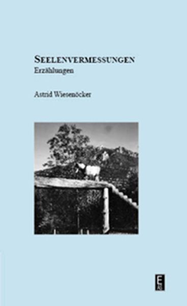 Cover von Seelenvermessungen