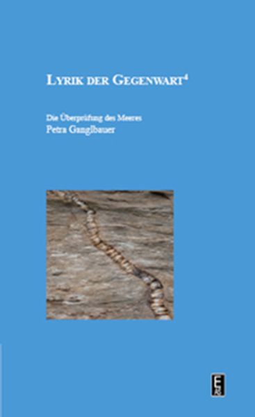 Cover von Die Ãœberprüfung des Meeres