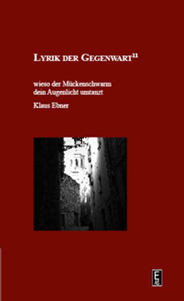 Cover von wieso der Mückenschwarm dein Augenlicht umtanzt