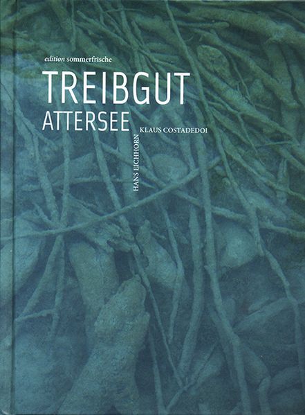 Cover von Treibgut Attersee