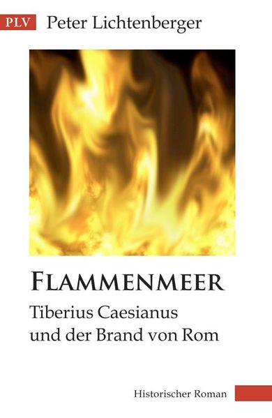 Cover von Flammenmeer