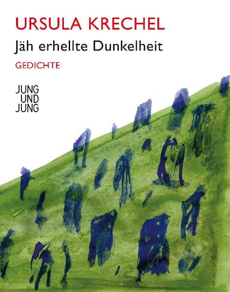 Cover von Jäh erhellte Dunkelheit