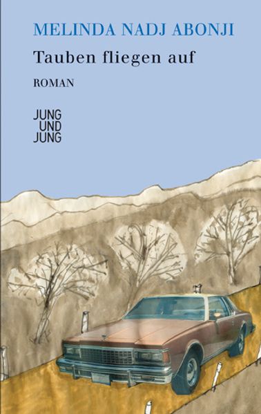 Cover von Tauben fliegen auf