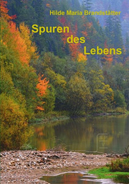Cover von Spuren des Lebens