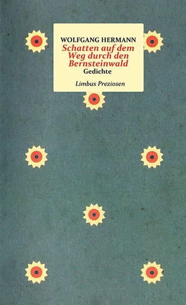 Cover von Schatten auf dem Weg durch den Bernsteinwald