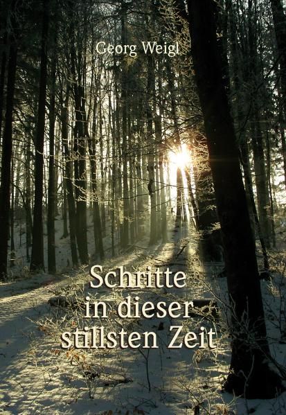 Cover von Schritte in dieser stillsten Zeit