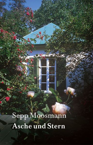 Cover von Asche und Stern