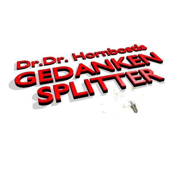 Cover von Gedankensplitter