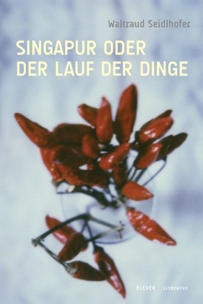 Cover von Singapur oder Der Lauf der Dinge