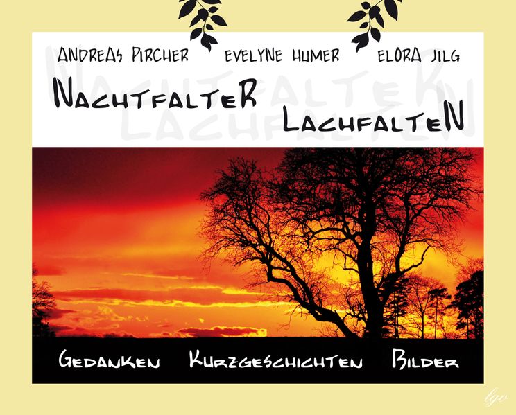 Cover von Nachtfalter – Lachfalten