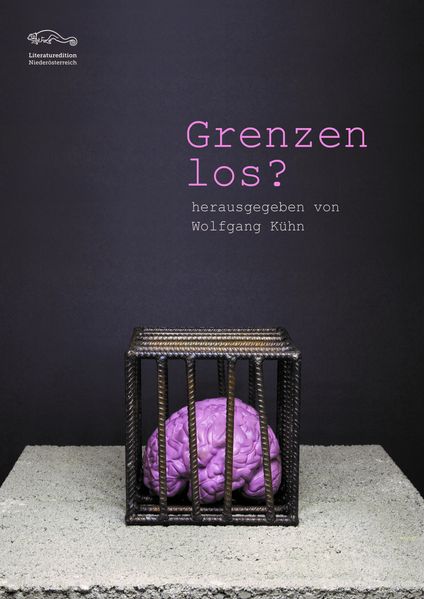 Cover von Grenzenlos?