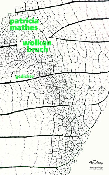 Cover von wolkenbruch