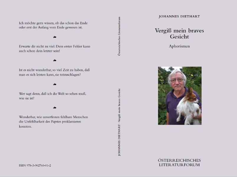 Cover von Vergiß mein braves Gesicht
