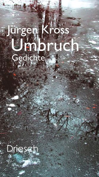Cover von Umbruch