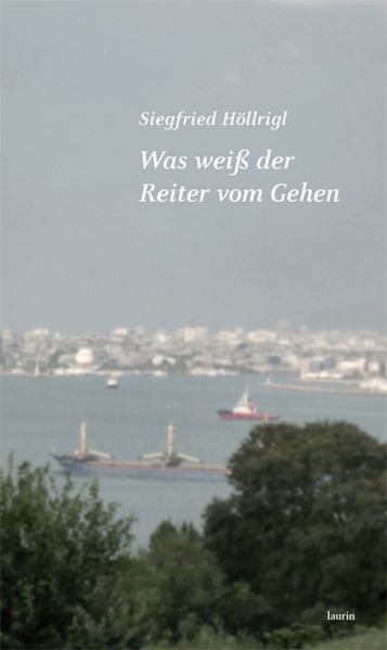 Cover von Was weiß der Reiter vom Gehen