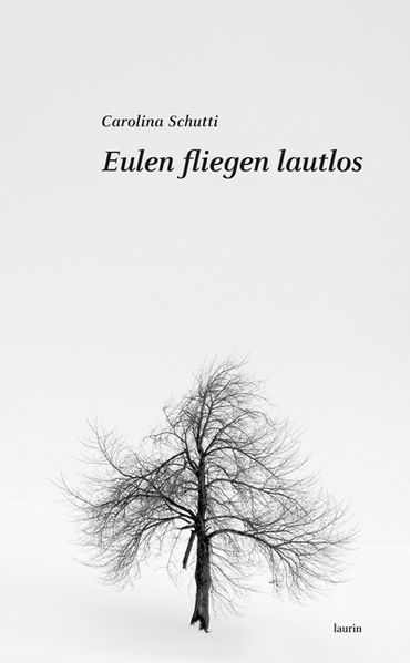 Cover von Eulen fliegen lautlos