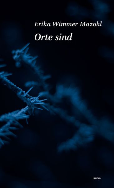 Cover von Orte sind