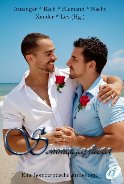 Cover von Sommergayflüster