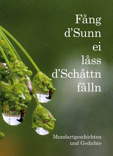 Cover von Fang d’Sunn ei lass d’Schattn falln