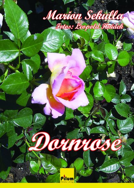 Cover von Dornrose