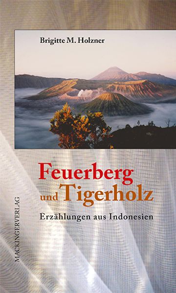 Cover von Feuerberg und Tigerholz