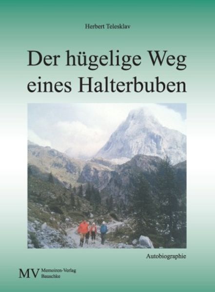 Cover von Der hügelige Weg eines Halterbuben