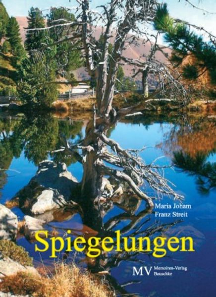 Cover von Spiegelungen