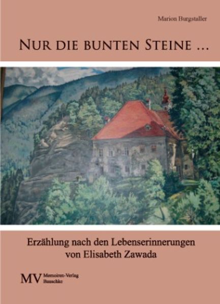Cover von Nur die bunten Steine …
