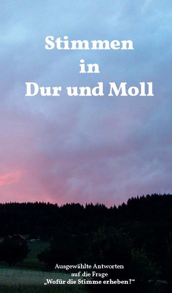 Cover von Stimmen in Dur und Moll