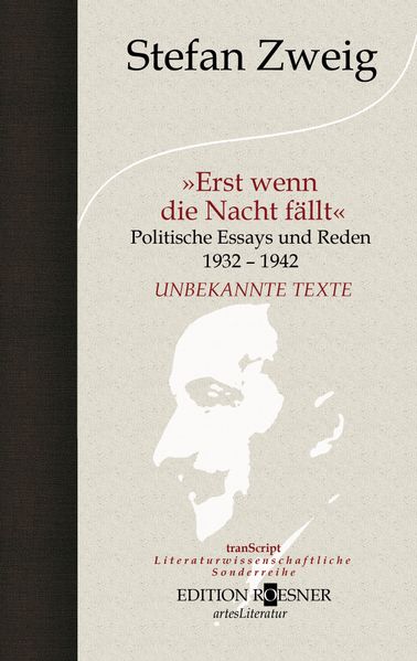 Cover von »Erst wenn die Nacht fällt«