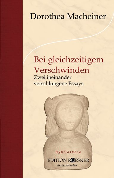 Cover von Bei gleichzeitigem Verschwinden