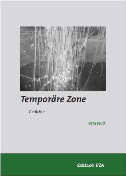 Cover von Temporäre Zone