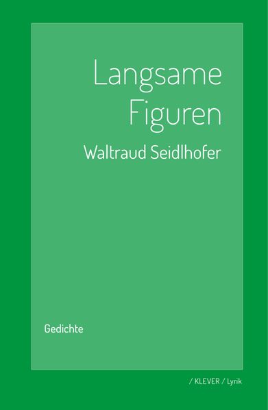 Cover von Langsame Figuren