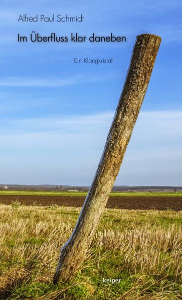 Cover von Im Überfluss klar daneben