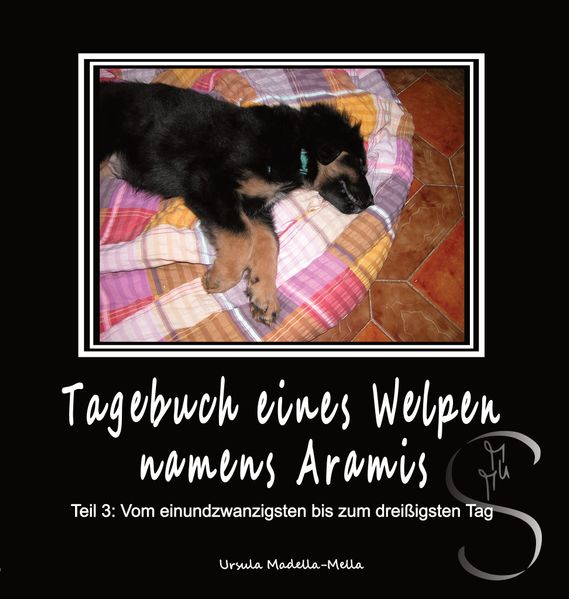 Cover von Tagebuch eines Welpen namens Aramis Teil 3