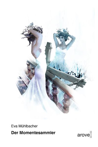 Cover von Der Momentesammler