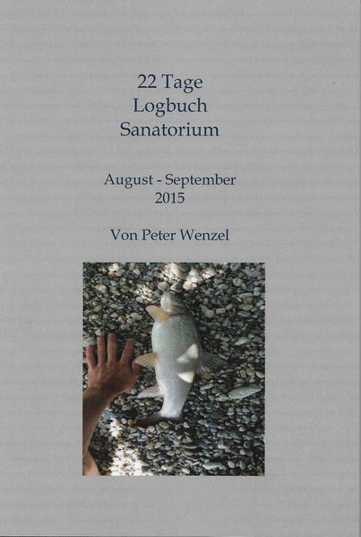 Cover von 22 Tage