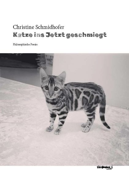 Cover von Katze ins Jetzt geschmiegt