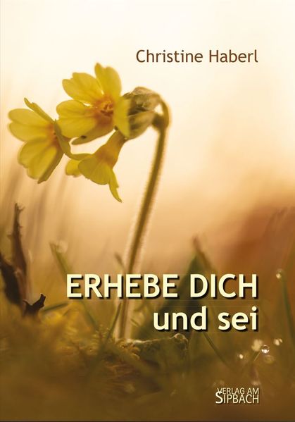 Cover von Erhebe dich und sei