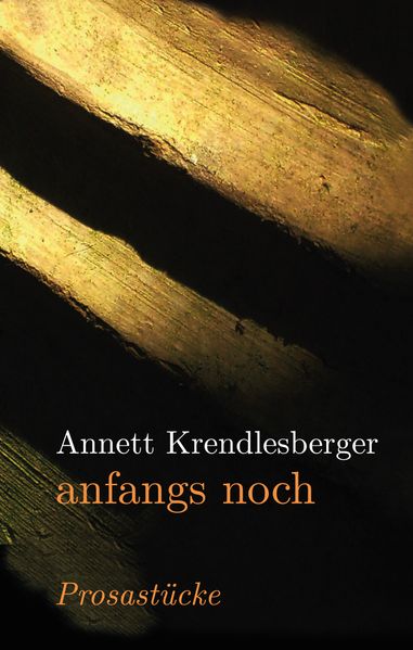 Cover von anfangs noch