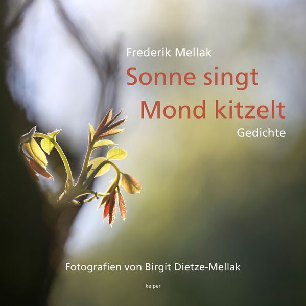 Cover von Sonne singt – Mond kitzelt