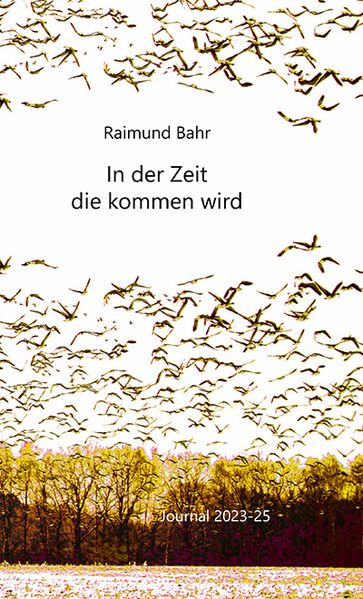 Cover von In der Zeit die kommen wird