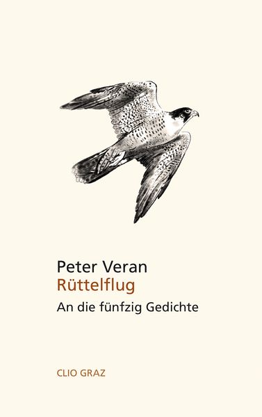 Cover von Rüttelflug