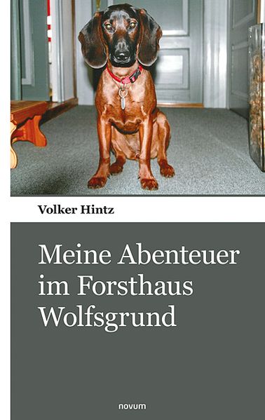 Cover von Meine Abenteuer im Forsthaus Wolfsgrund