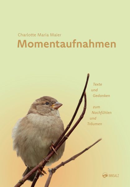 Cover von Momentaufnahmen